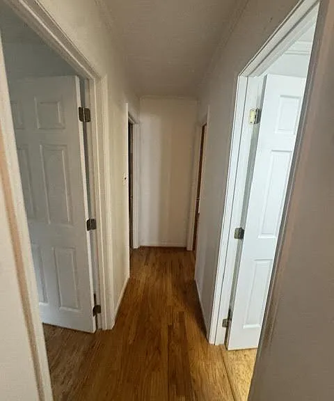 12 Dogwood Ln — Photo 9
