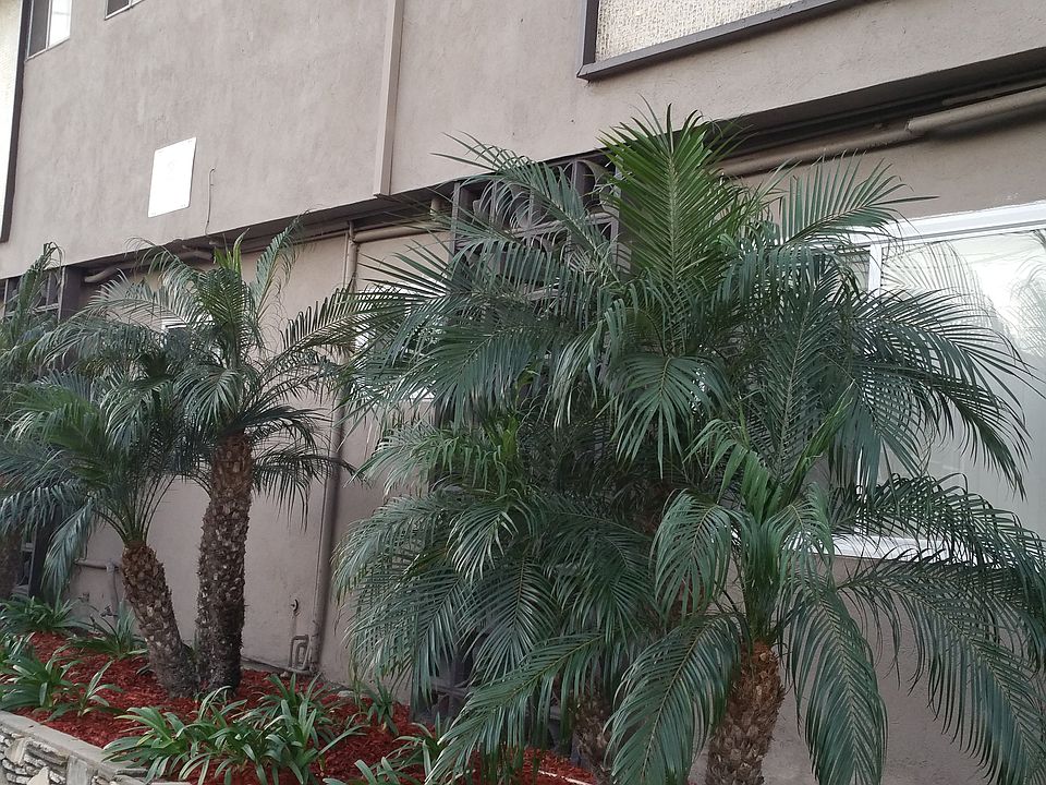 1st image of 4750 W Broadway Fl 1ST