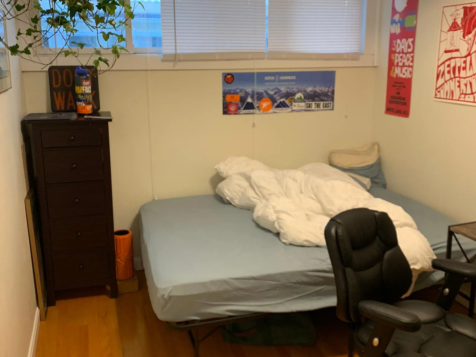 3 bed, $4,700 — Photo 4