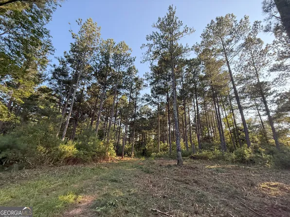 3 Watson Mill Rd, Comer, GA 30629