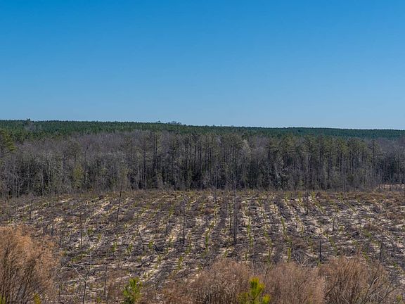 3rd image of 0 Bill Merritt Rd