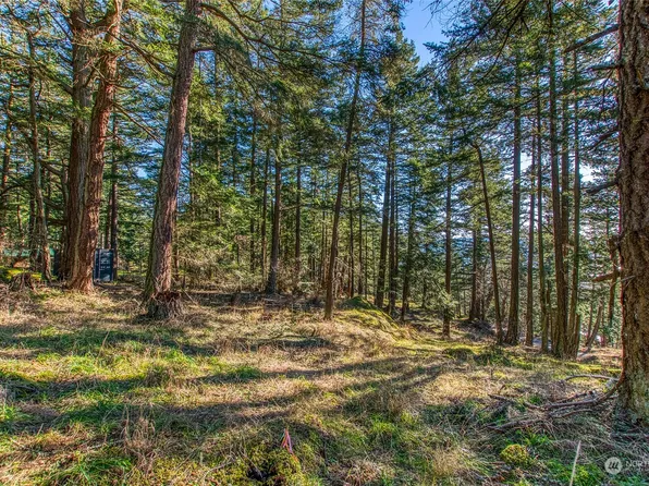 0 Veneda Trail, Orcas Island, WA 98245