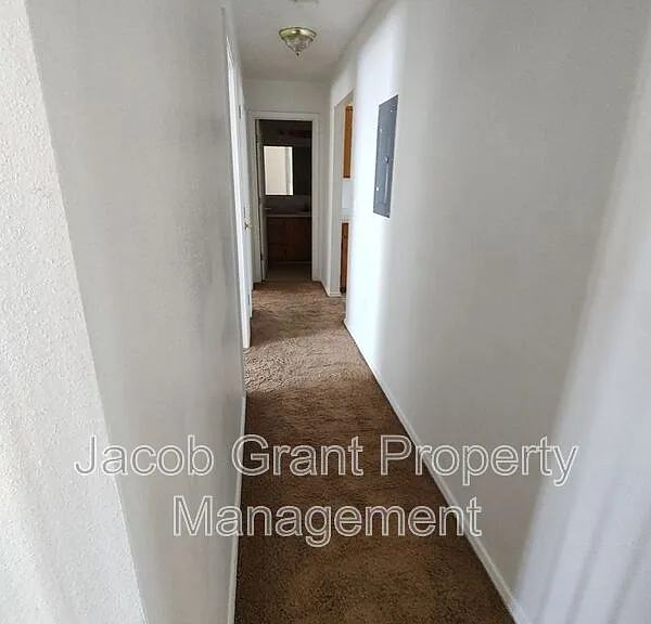 385 Golden St #4 — Photo 4