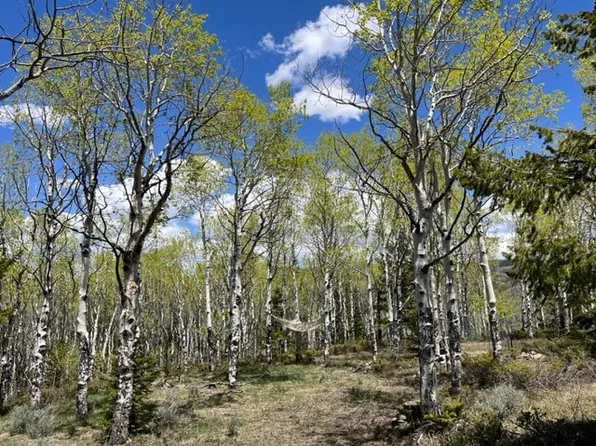 626 & 688 Ridge Drive, Kremmling, CO 80459