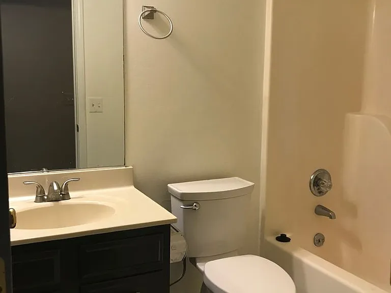 106 Tulip Tree Ct — Photo 9
