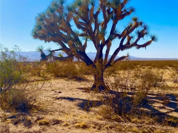 2027 S Roy Rogers Rd, Yucca, AZ 86438