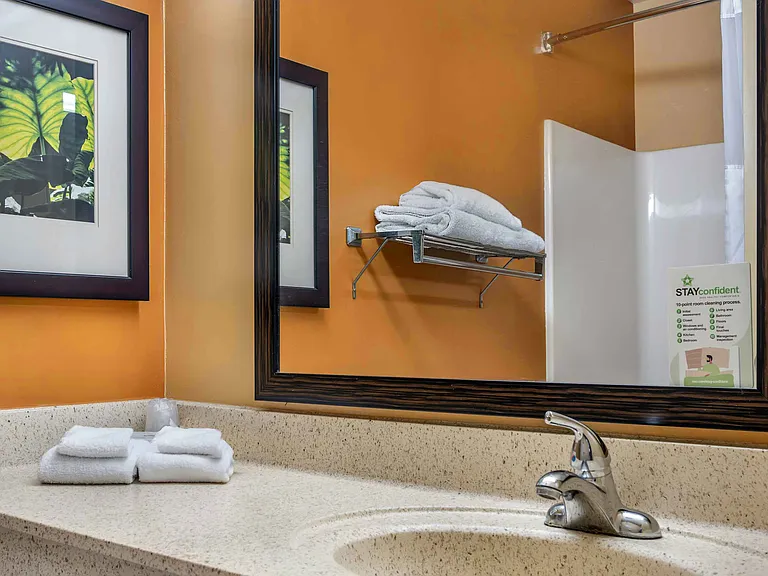 Studio Suite - 2 Full Beds