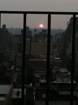 Rented by Owner | media 167