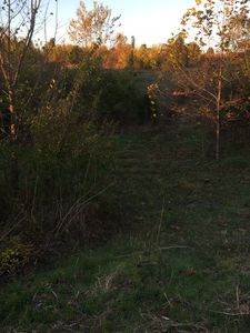 270 Thomas Rd, Warrior, AL, 35180