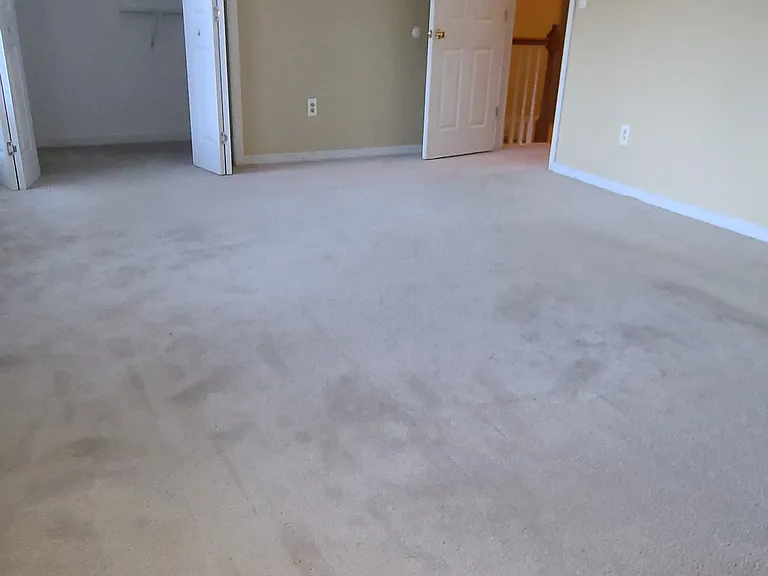4128 Bush Lake Dr — Photo 11