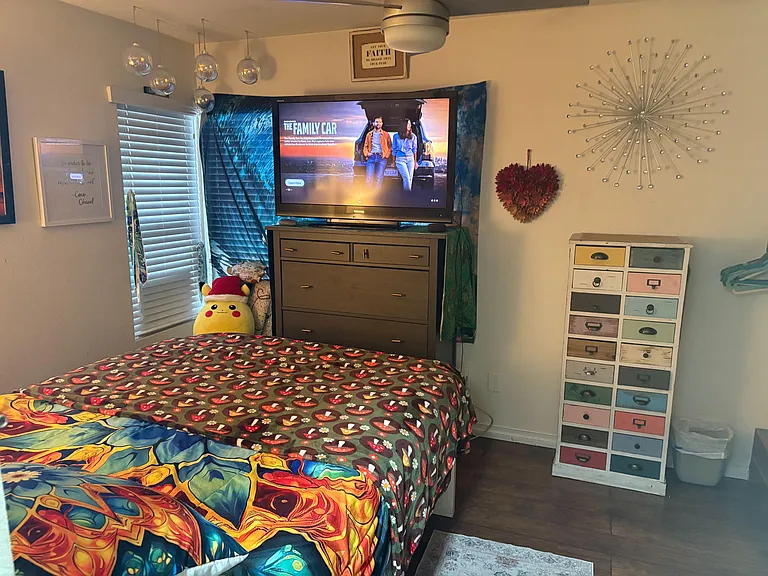2 windows (one behind tv covered)