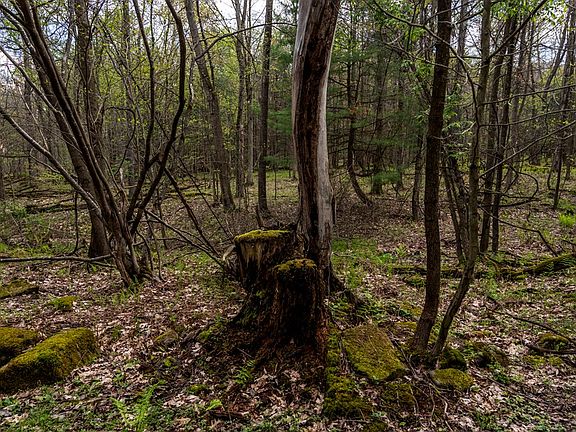 4th image of 0 Huefner Spring Rd