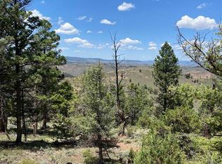 TBD Goose Creek Road, Powderhorn, CO 81243