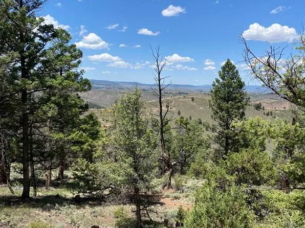 TBD Goose Creek Road, Powderhorn, CO 81243