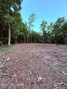 0 Reamers Rd, Pewee Valley, KY, 40056