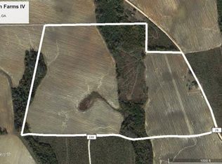 County Road 29, Bluffton, GA 39824