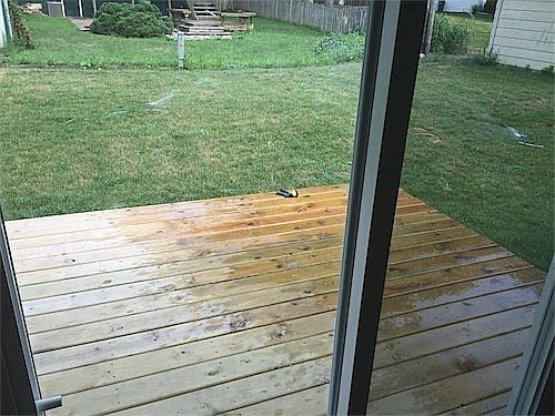 back deck