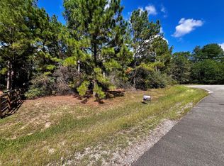 9485 Parkview Dr, Waller, TX 77484