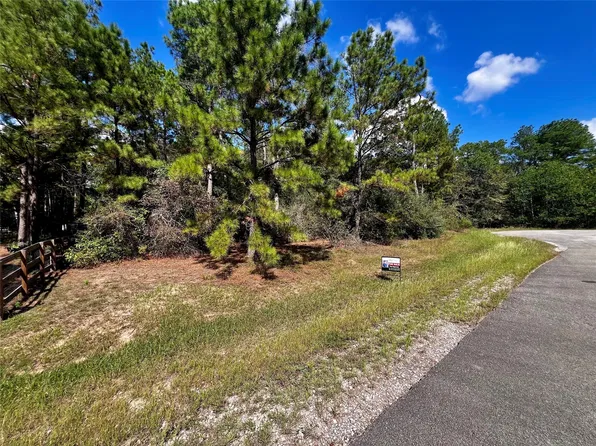 9485 Parkview Dr, Waller, TX 77484