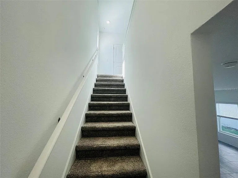 7238 Ivy Tendril Ave — Photo 13