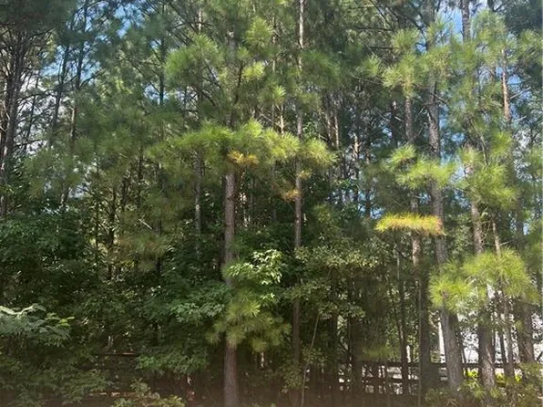 0 Brookview Dr #X, Loganville, GA 30052