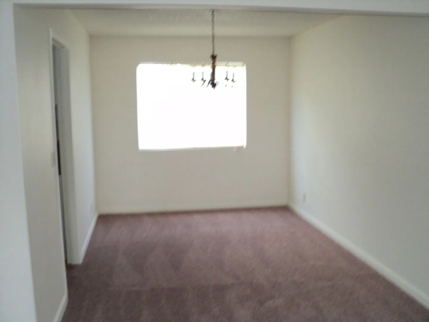 Spacious 4 bedroom — Photo 3