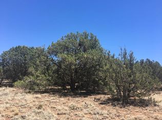 1875 Bourdon St, Show Low, AZ 85901