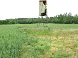 2446 Massie Branch Rd, Skippers, VA 23879