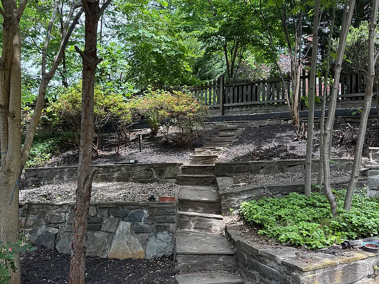 Backyard.
