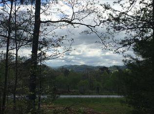 3 Jonica Gap Rd, Mineral Bluff, GA 30559