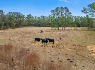 701 N Barber Hl, Lamont, FL 32336