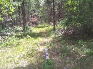 8057 S Spring Lake Rd, Idlewild, MI 49642