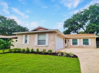 1902 Briarwood St, Dunedin, FL 34698