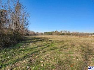 10630 Hemingway Hwy, Kingstree, SC 29556