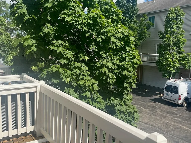 4323 Savoy Ln #4323 — Photo 8