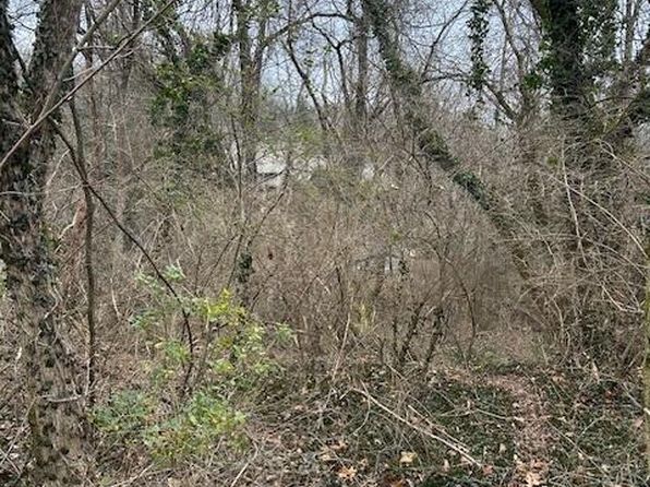 1007 Evanwood Dr E, Lookout Mountain, TN 37350