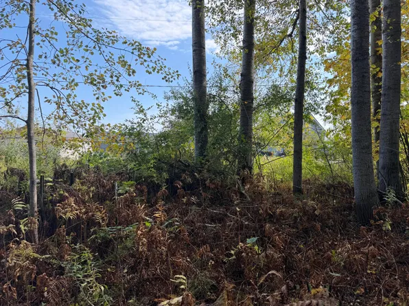 V/l 27ac Cedar Dr, Black River, MI 48721