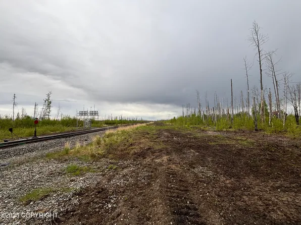 D001 Road, Willow, AK 99688