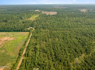 0 Dothan Rd, Tabor City, NC 28463