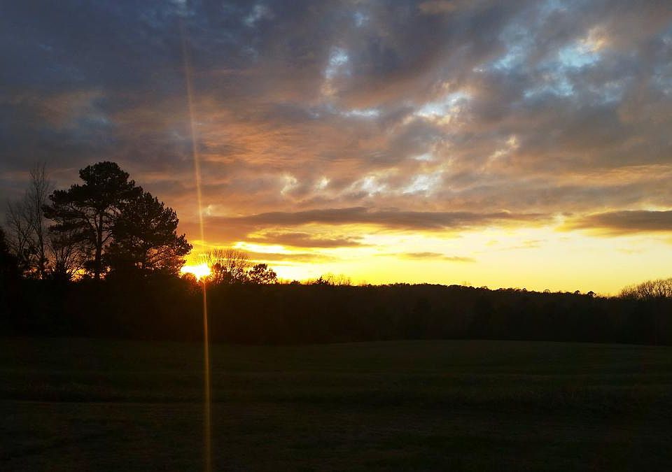 Beautiful views of pastures and woods