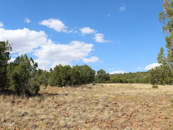 63 County Road 8025, Concho, AZ 85924