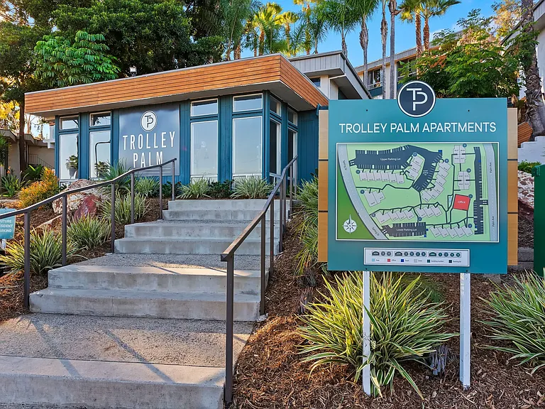 Trolley Palm — Photo 25