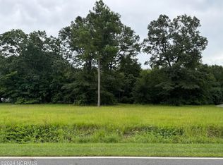LOT 2 Caleb Dr, Seven Springs, NC 28578