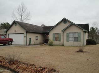 102 E Ivybridge Dr, Hubert, NC 28539
