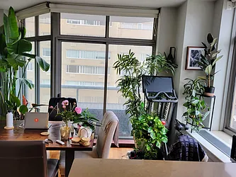 Rented by Voro NYC