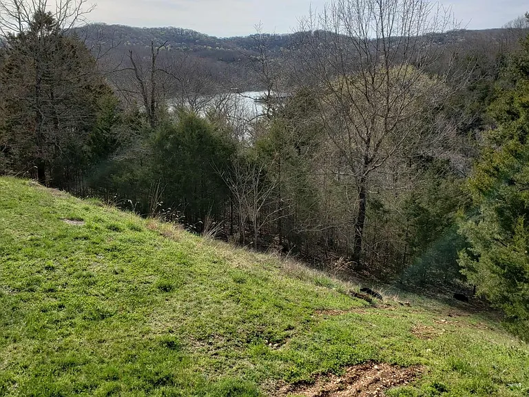 7 Woodpecker Ln #1 — Photo 11