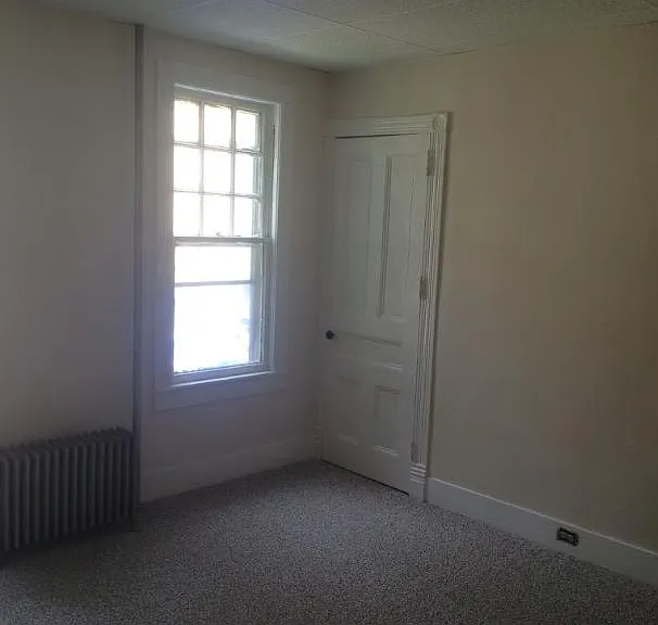 Large bedroom. One of two closets shown.