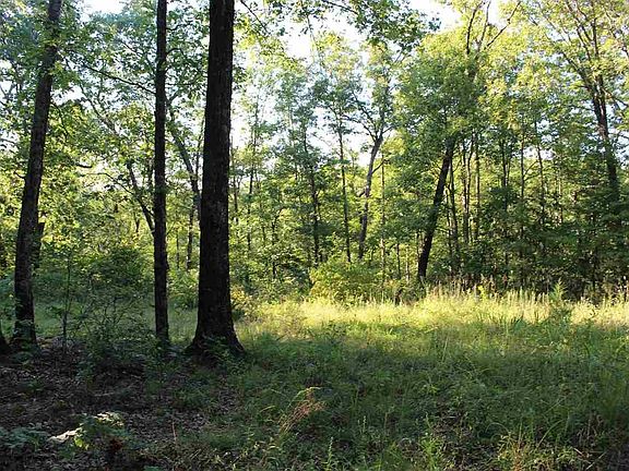 2nd image of 27548 Highway 135