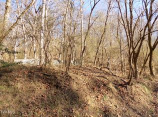 Holston St, Rogersville, TN 37857