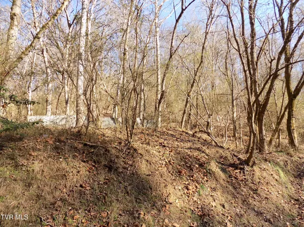 Holston St, Rogersville, TN 37857